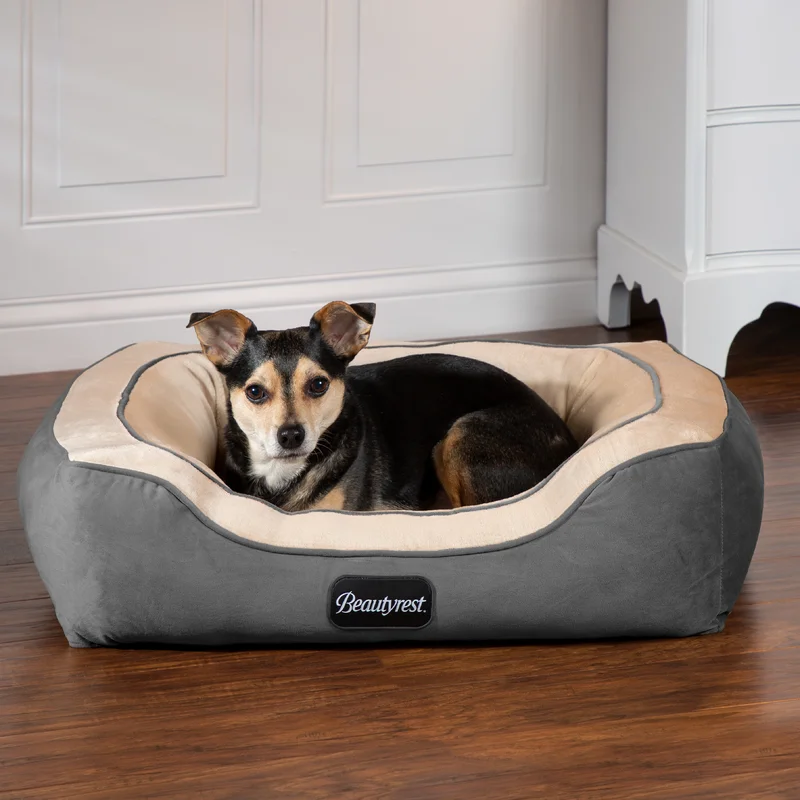 Getting My Dog His Favorite Items girlsguidetostyle